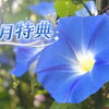 7月特典