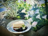 Midsummer Breeze Fair「【 Midsummer Breeze Fair 】」