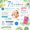 7月のご案内🌿🫧