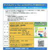 やってみよう！e-Tax・eLTAXダイレクト納付セミナー
