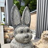 『福宝新発田店の一コマ🐈』