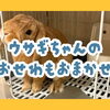 【シッター日誌】小動物のお留守番もお任せください！