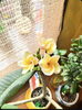 「小さな幸せのお裾分け💛」