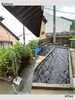 庭の困りごと即対応！美しく整えます「つるぎ町で草むしりと防草シート施工を行いました」