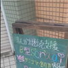 毎日の積み重ねが、少しずつ大きな成長につながっています🌿
