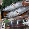 草津店入荷情報🚚 本日高知県産直🐟 スマカツオ 入荷しました‼️