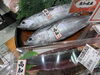 「草津店入荷情報🚚 本日高知県産直🐟 スマカツオ 入荷しました‼️」