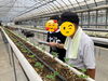 少しずつ学んでくれています「体験実習で少しずつほぐれていく気持ちの変化」