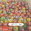 「夏メニューが毎年同じ…」そんな飲食店様へ｜北海道産カラフル野菜