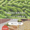 ビールに合う夏野菜を北海道から｜居酒屋向け業務用食材