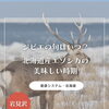 ジビエの旬はいつ？北海道産エゾシカの美味しい時期