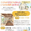 7月の毎週土曜日は、コラシの無料オープンデー！🌈