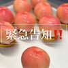 7/12限定！まるごともものタルトだけの「まるごと1日もも祭り」開催