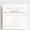 Tタッチ考察セミナーで「観察力」を学びました