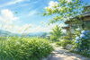 温風至「🌿 温風至（あつかぜいたる）｜夏の風が運ぶ、季節の訪れ」