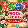 熱帯祭り7月１７日～始まります！（熱帯俱楽部東川口本店）