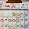 7月の予定
