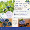 初収穫のブルーベリーをお客様へどうぞ「初収穫のブルーベリーをお客様へどうぞ」