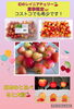 大粒🩷甘酸っぱくて爽やかなさくらんぼ🍒「コストコでも希少な幻のレイニアチェリー🍒」