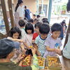 なかの幼稚園の作物が実ってきたよ～！びわ・ぶどう✨