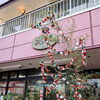 お中元ギフトにお花はいかがですか？