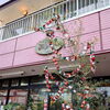 お中元ギフトにお花はいかがですか？