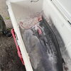 道南の本マグロが入りました‼️