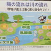 お腹がパンパンに張る！！頑固な下痢、便秘、腹痛って小腸の病気かも！