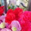 浜頓別の花のこいずみです(^^)/　花キューピットでのオンライン販売にも対応しております！遠方への発送可能です！