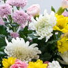 お盆・お墓向けのお花のご予約受付中です。是非、当店へご相談ください！
