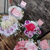 稚内のまちかどの花屋 れんげどうです！お花の入荷日は火・木・土となっております！