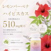 ボディマネジメントサプリ「REVI Naturion Slenjour」のご案内