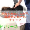 四十肩・五十肩は痛い場所だけが原因とは限りません