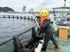 海を豊かにする、貴重な体験のひととき「マグロ養殖体験に挑戦！海の仕事から広がる学び」
