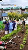 間引きしたミニ人参🥕「グリーンツーリズム農業体験　中学2年生が畑で学ぶ一日」