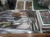 令和8年7月6日 店内「📣本日のお魚情報🐟」