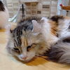 雨の日は…
