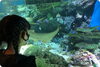 母子・乳幼児レク【水族館】「施設行事の紹介☀シングルマザーの親子が安全・安心に暮らせるお家🏘️お母さんとお子さんが楽しく過ごすためのサポートがたくさん✨」