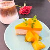 レアチーズとマンゴーの2段ケーキ🥭 ひんやりケーキでさっぱり食べられます🥰【福井韓国風カフェ Hugpopo ハグポポ】