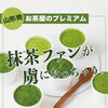 夏にぴったり！ひんやり抹茶ジェラートでひと休み