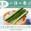 【一日一養】食べる点滴！夏の大人肌をすっきりと整える「きゅうり」の潤い薬膳