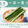 【一日一養】食べる点滴！夏の大人肌をすっきりと整える「きゅうり」の潤い薬膳