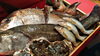 新鮮な魚介を贅沢に味わう「本日の仕入れ魚介でつくる季節のおすすめ料理」