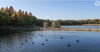 昆陽池公園「【伊丹市の地域情報】昆陽池公園をご紹介しました」