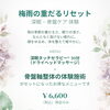 7月限定「梅雨の重だるリセット」骨盤軸整体を気軽に体験してみませんか？