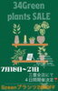 「34Green plants SALE🪴 Greenプランツ20%OFF！」