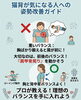 猫背・姿勢改善！プロが指導「【YouTube shorts】良かれと思って逆効果!?猫背が気になる人の「腕立て伏せ」はNG？美しい姿勢を作るバランスの秘訣を動画で解説/新潟市東区・腰痛改善専門整体院」
