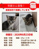 「【愛媛県新居浜市】里親募集のお知らせ！」