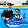 『東野プール（浦安市）』