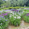 雨上がりの花さんぽと、サロンでのリフレッシュ時間